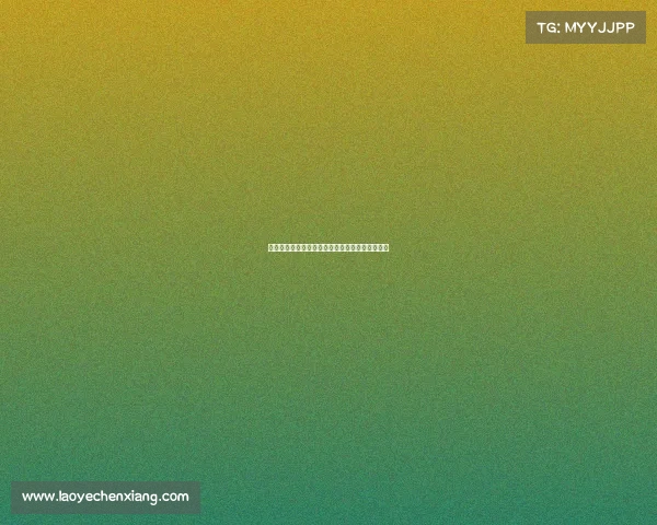 阿维斯今日赛事焦点追踪实时报道预测与精彩看点